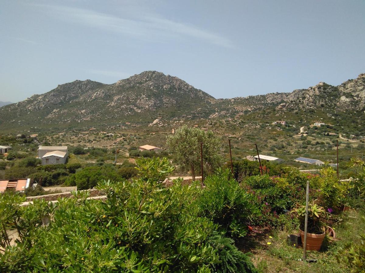 Villetta Osseddu Olbia Bagian luar foto