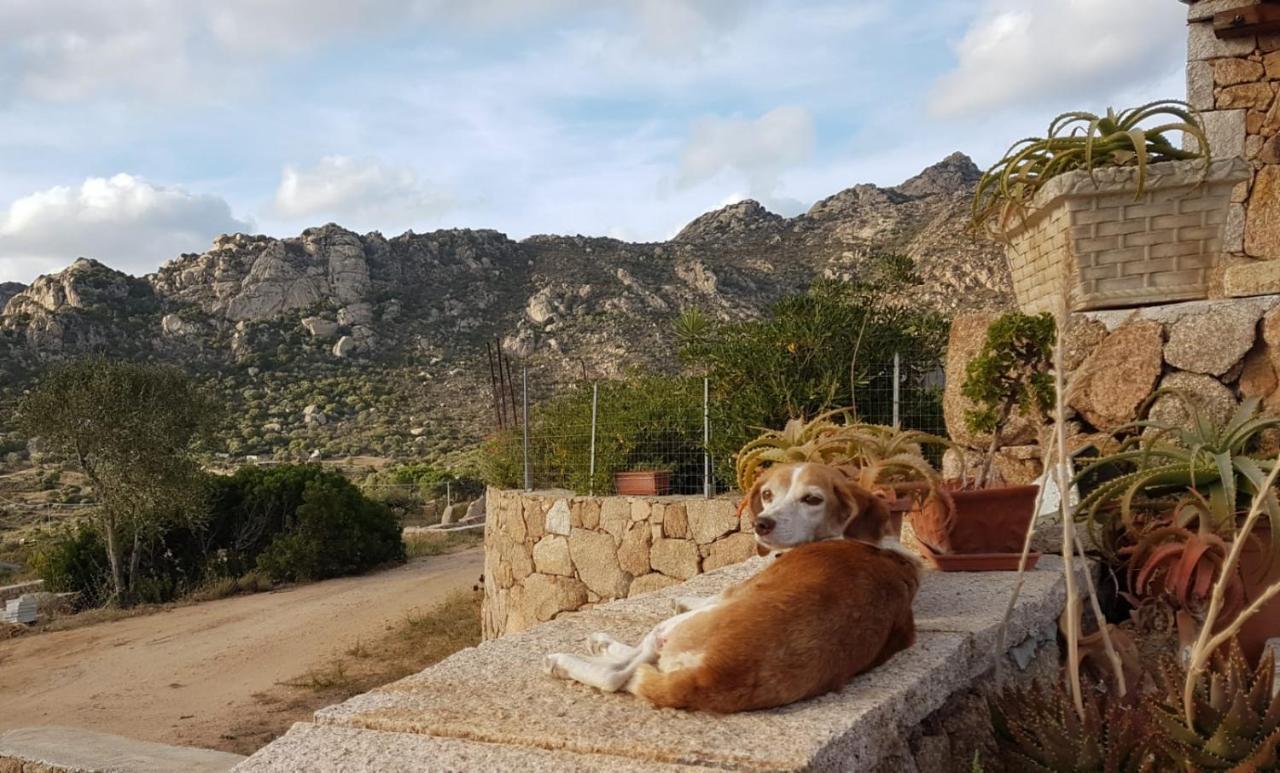 Villetta Osseddu Olbia Bagian luar foto